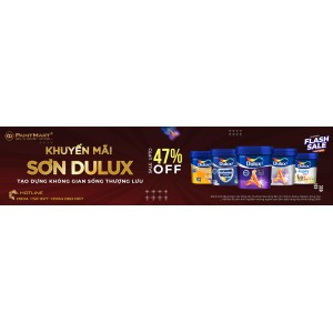 SƠN DULUX (50)